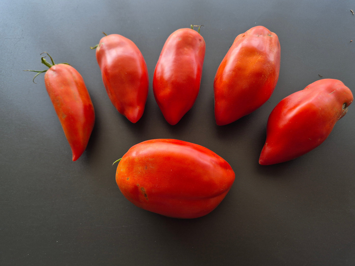 Abbattista Paste DER TOMATENFLÜSTERER