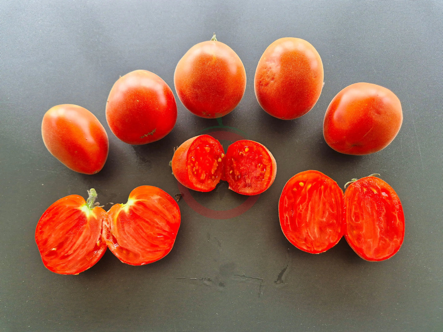 Abrikosovyy Lapot DER TOMATENFLÜSTERER