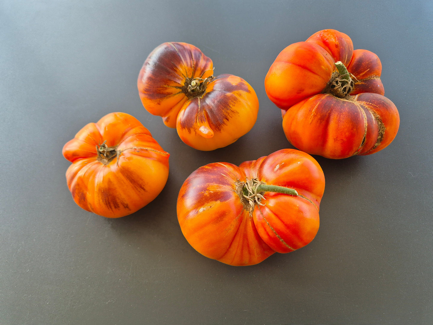 Afternoon Delight DER TOMATENFLÜSTERER