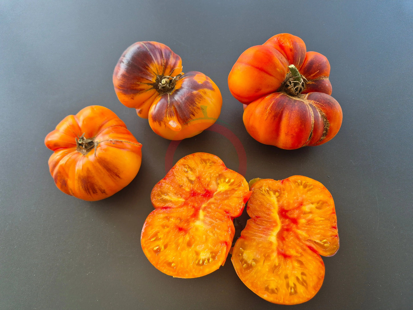 Afternoon Delight DER TOMATENFLÜSTERER