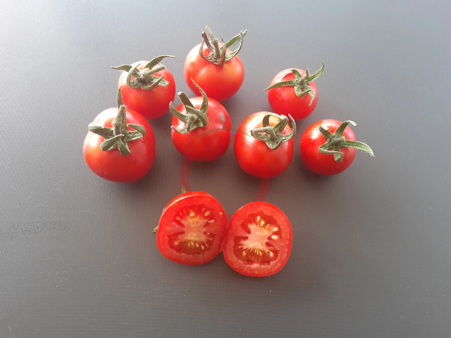 Ailsa Craig DER TOMATENFLÜSTERER