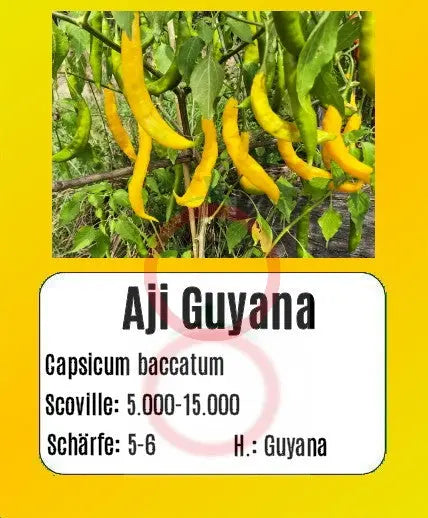 Aji Guyana DER TOMATENFLÜSTERER