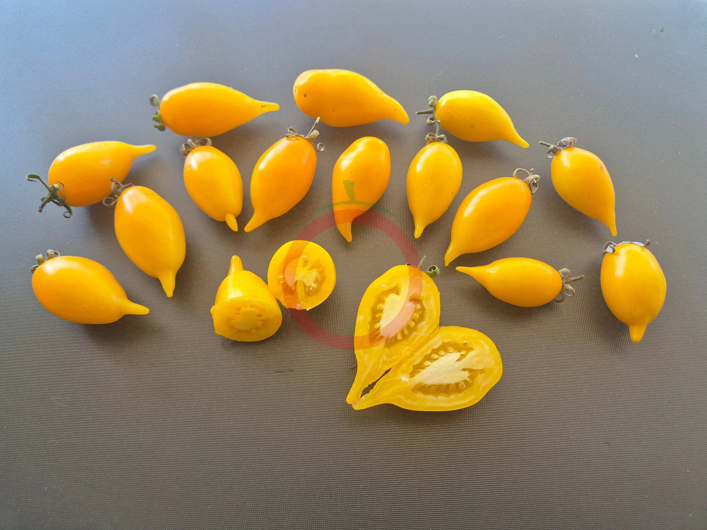 Akmore Treasure DER TOMATENFLÜSTERER