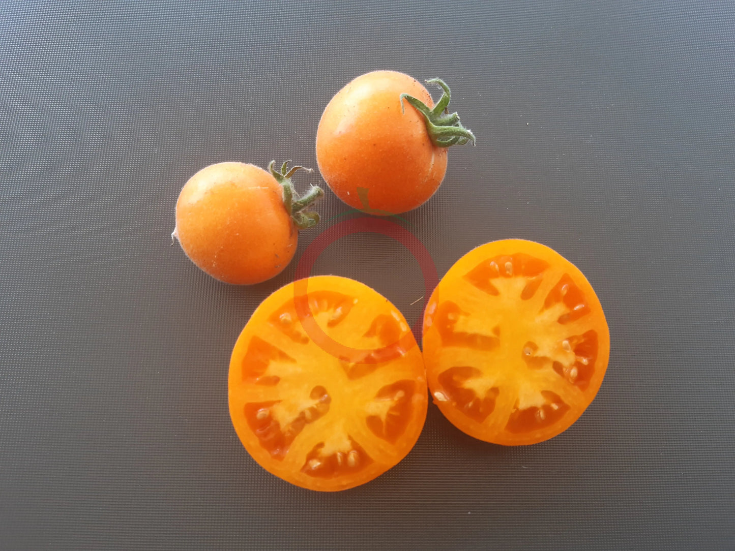 Allure DER TOMATENFLÜSTERER