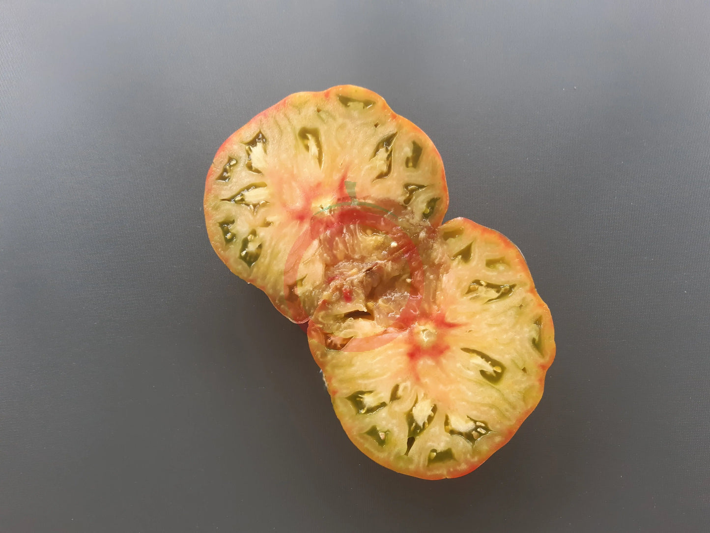 Almatinskiy Trikolor DER TOMATENFLÜSTERER