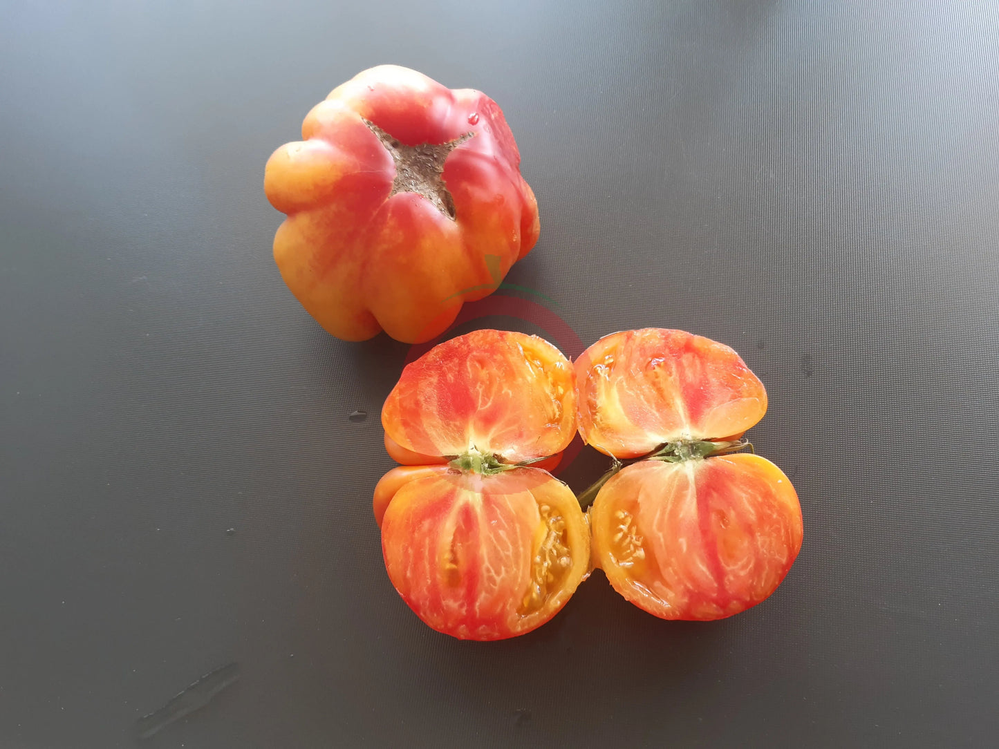 Amazing Grace DER TOMATENFLÜSTERER