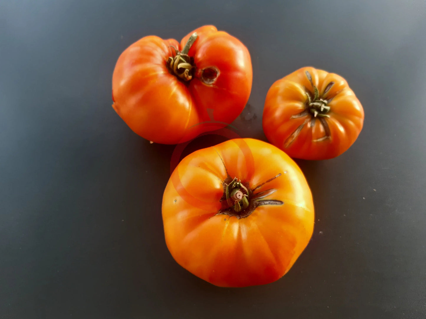 Amber Baron DER TOMATENFLÜSTERER