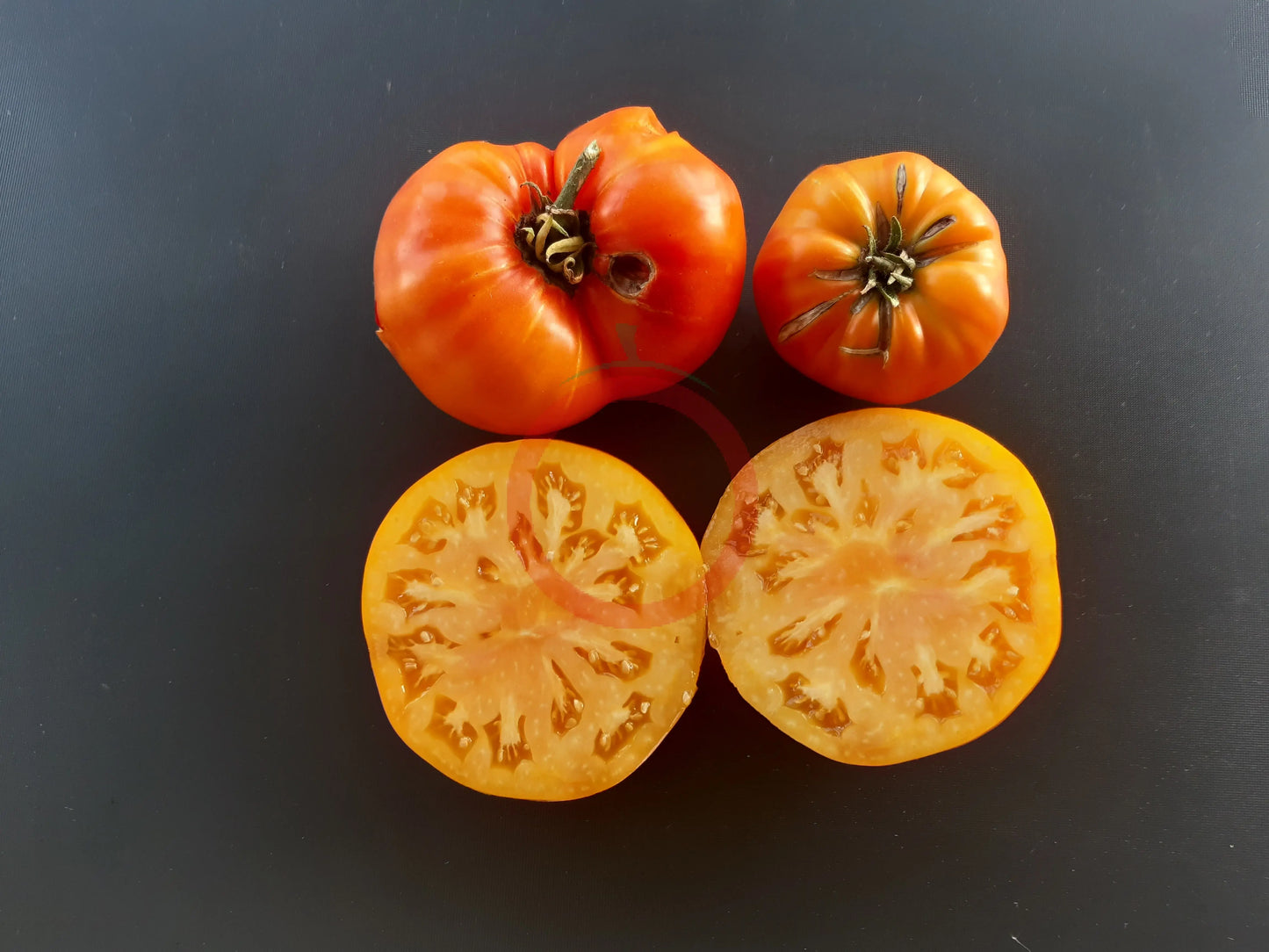 Amber Baron DER TOMATENFLÜSTERER