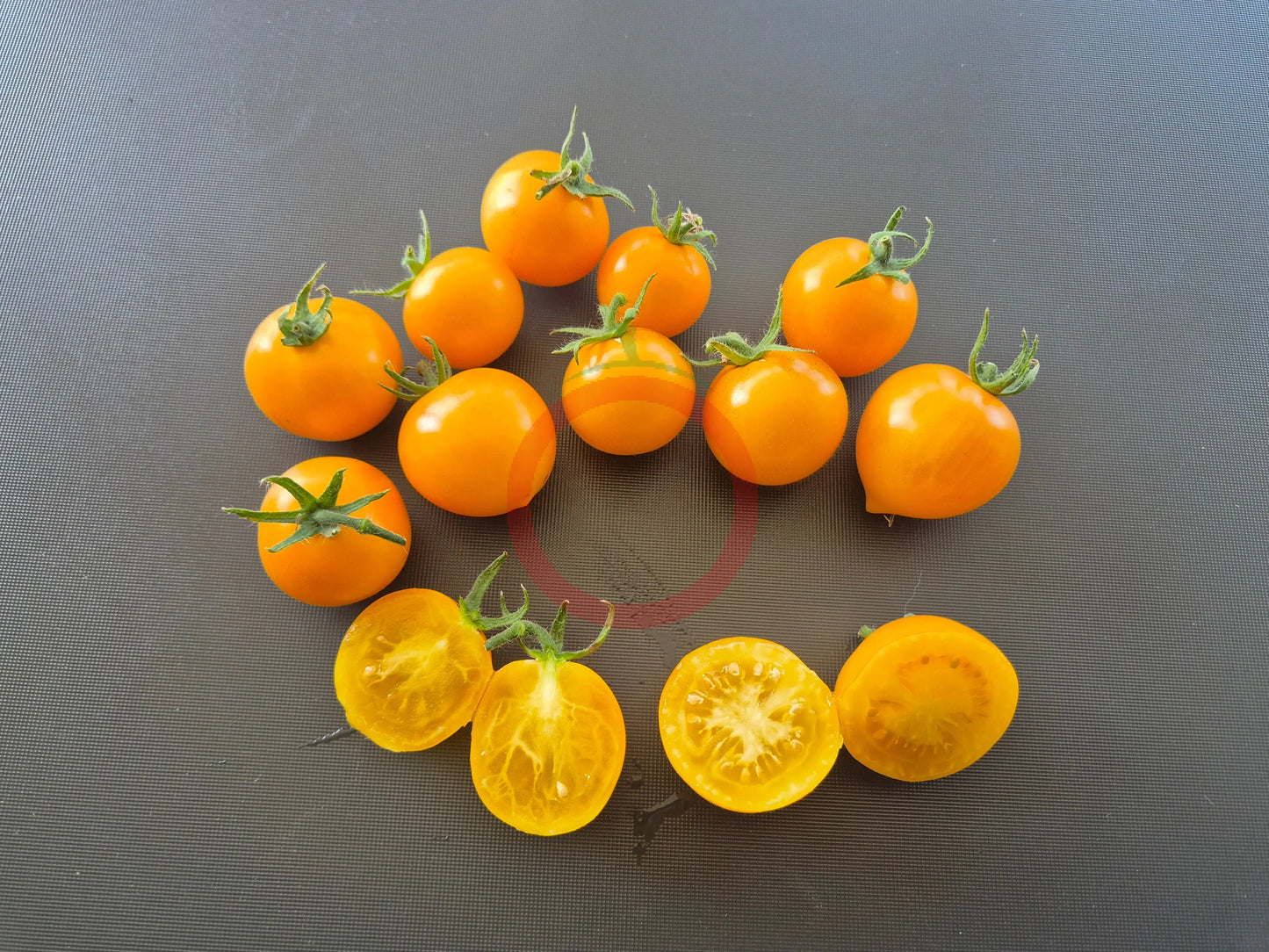 Amber Colored DER TOMATENFLÜSTERER