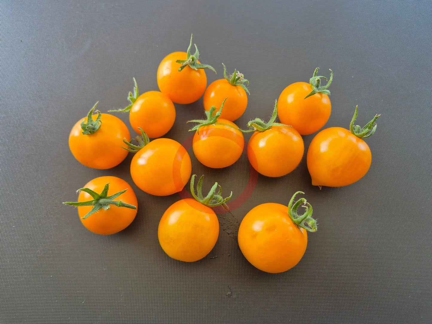 Amber Colored DER TOMATENFLÜSTERER