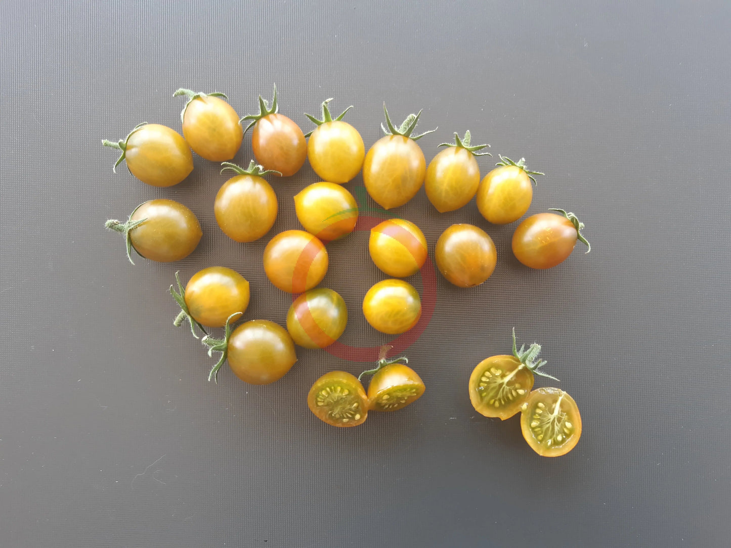 Amber Keyes DER TOMATENFLÜSTERER