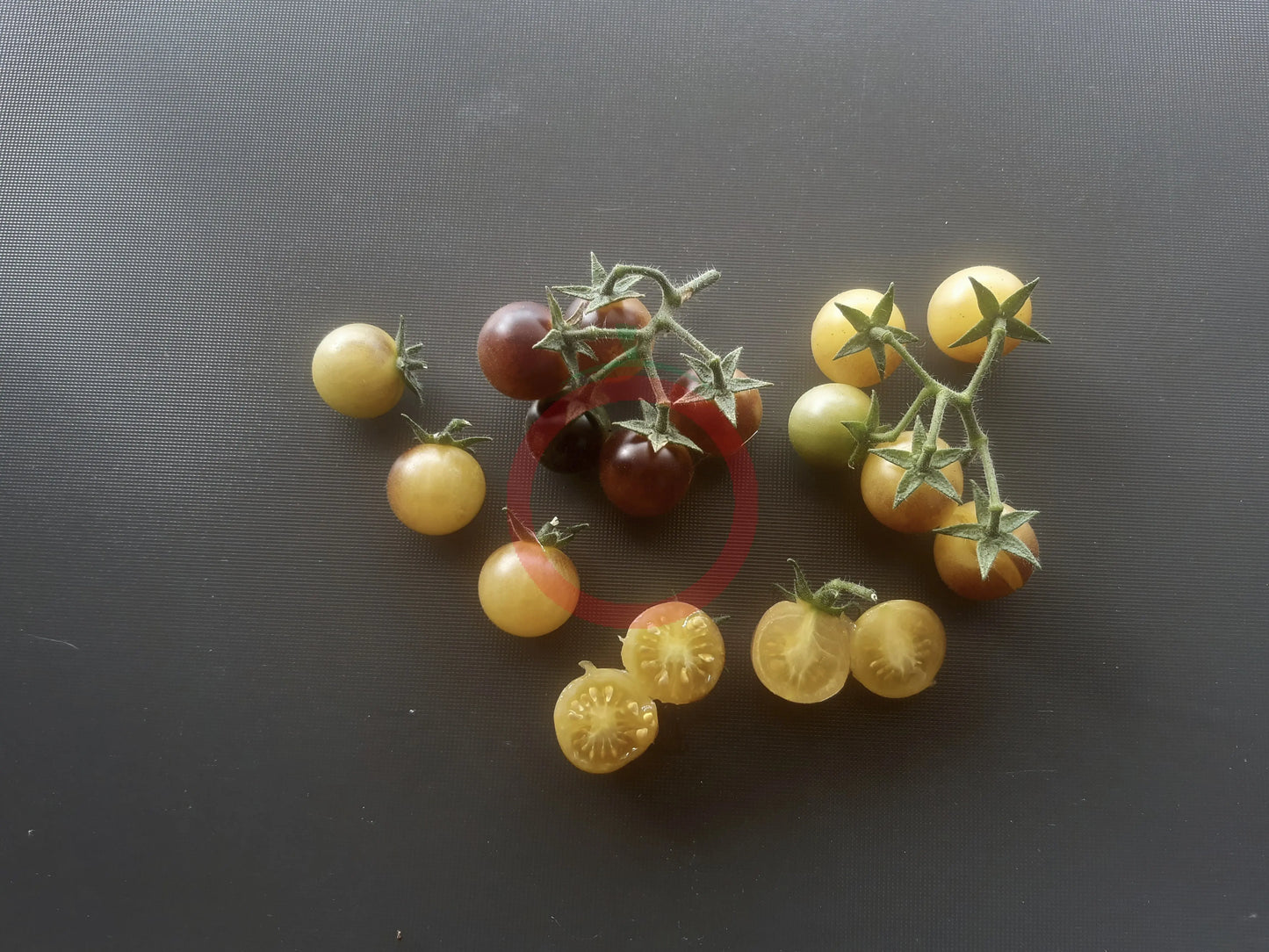 Amethyst Cream Cherry DER TOMATENFLÜSTERER