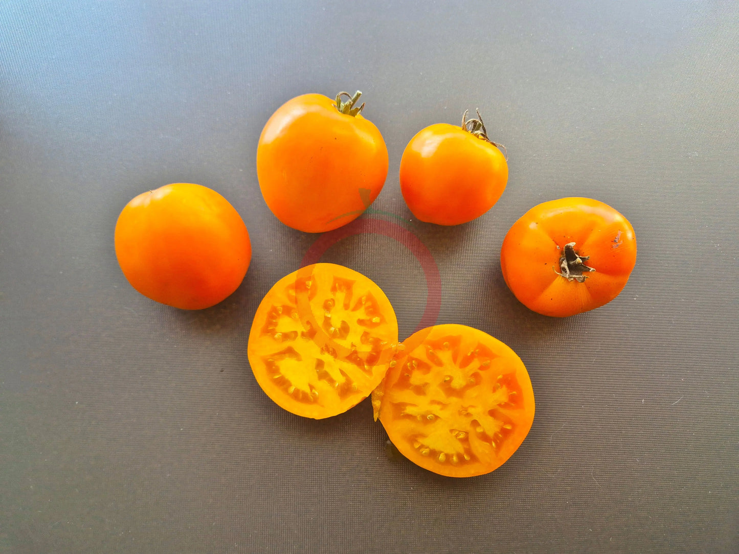 Amish Gold Slicer DER TOMATENFLÜSTERER