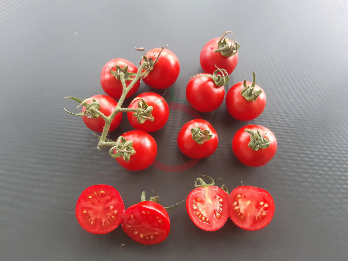 Amy´s Sugar Gem DER TOMATENFLÜSTERER