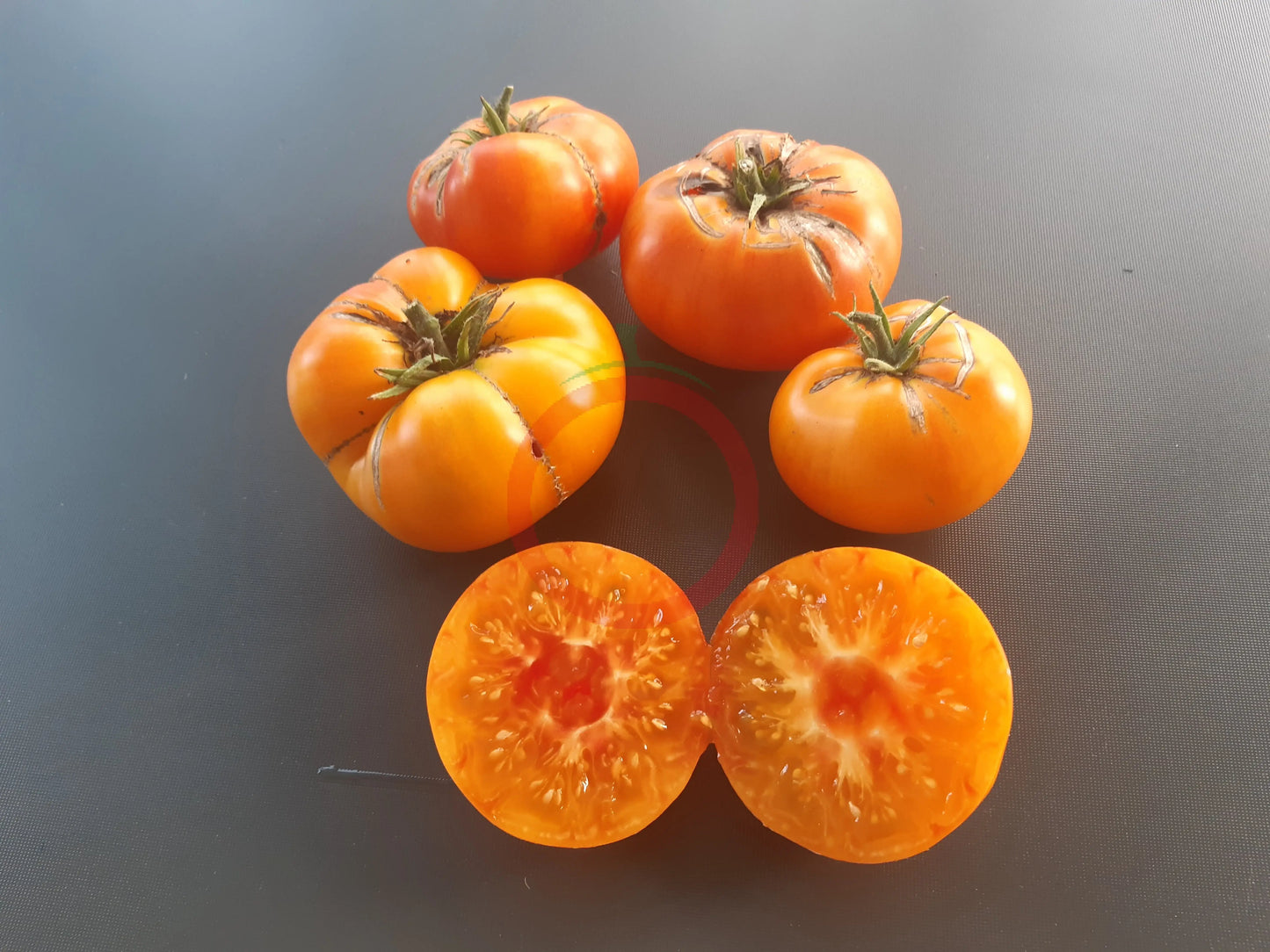 Ananas DER TOMATENFLÜSTERER