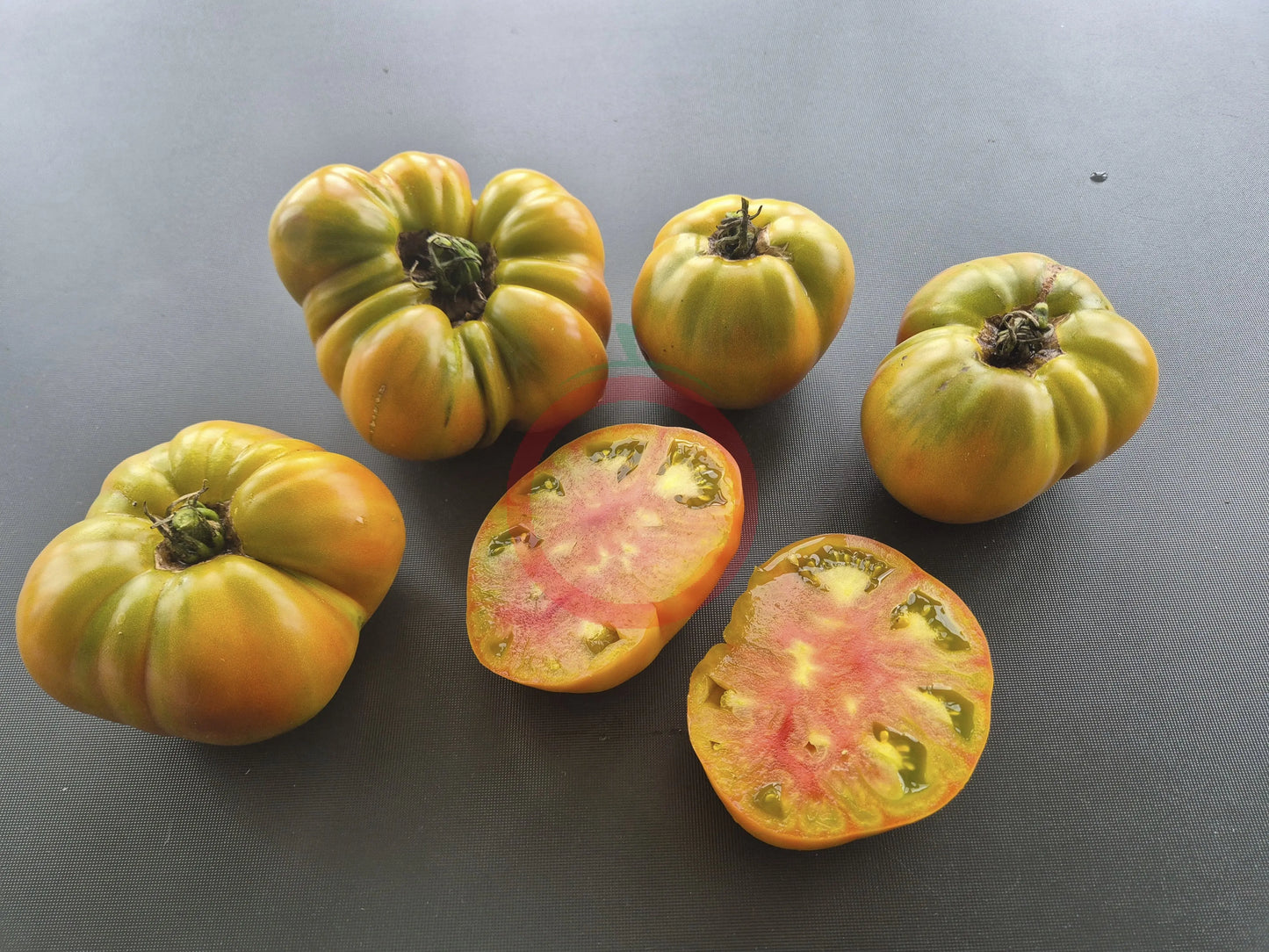 Ananas Noire DER TOMATENFLÜSTERER