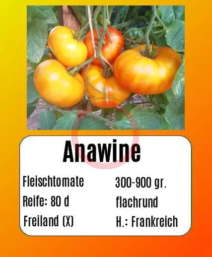 Anawine DER TOMATENFLÜSTERER