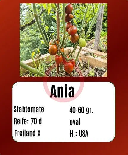 Ania DER TOMATENFLÜSTERER
