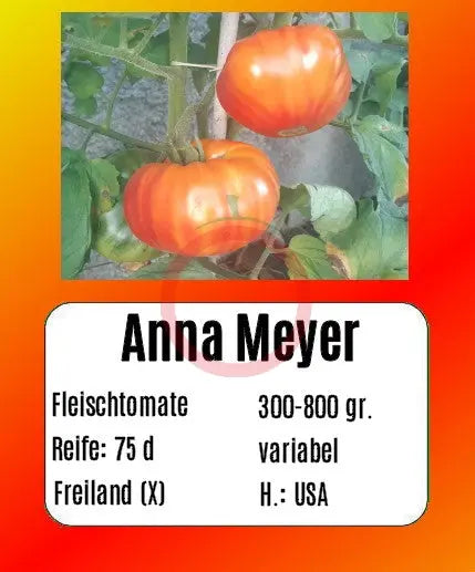 Anna Meyer DER TOMATENFLÜSTERER