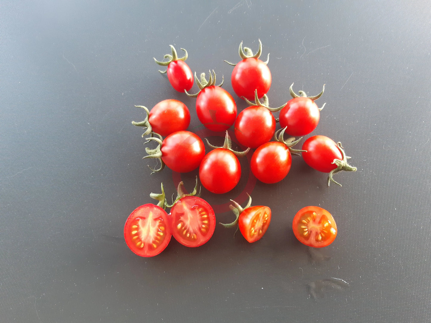 Anni´s Singapore DER TOMATENFLÜSTERER