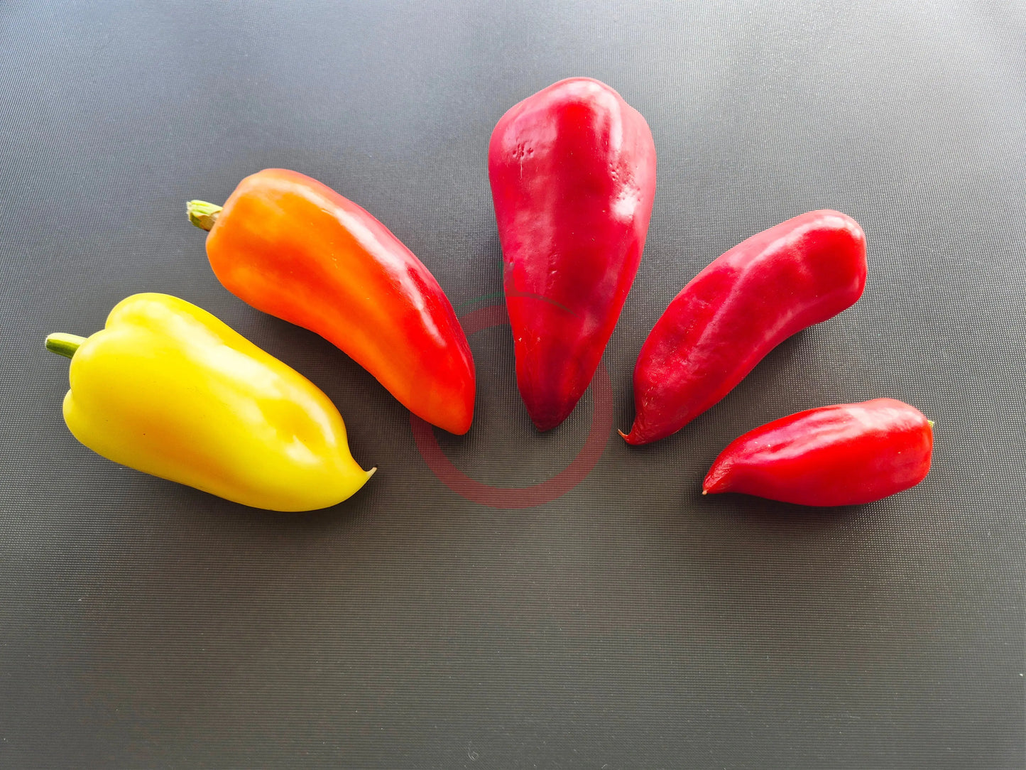 Antohi Romanian DER TOMATENFLÜSTERER