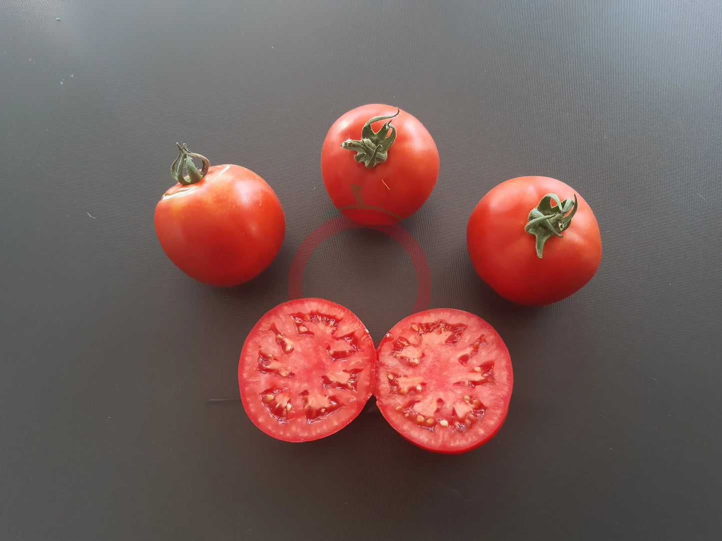 Apfel aus Novi Sad DER TOMATENFLÜSTERER