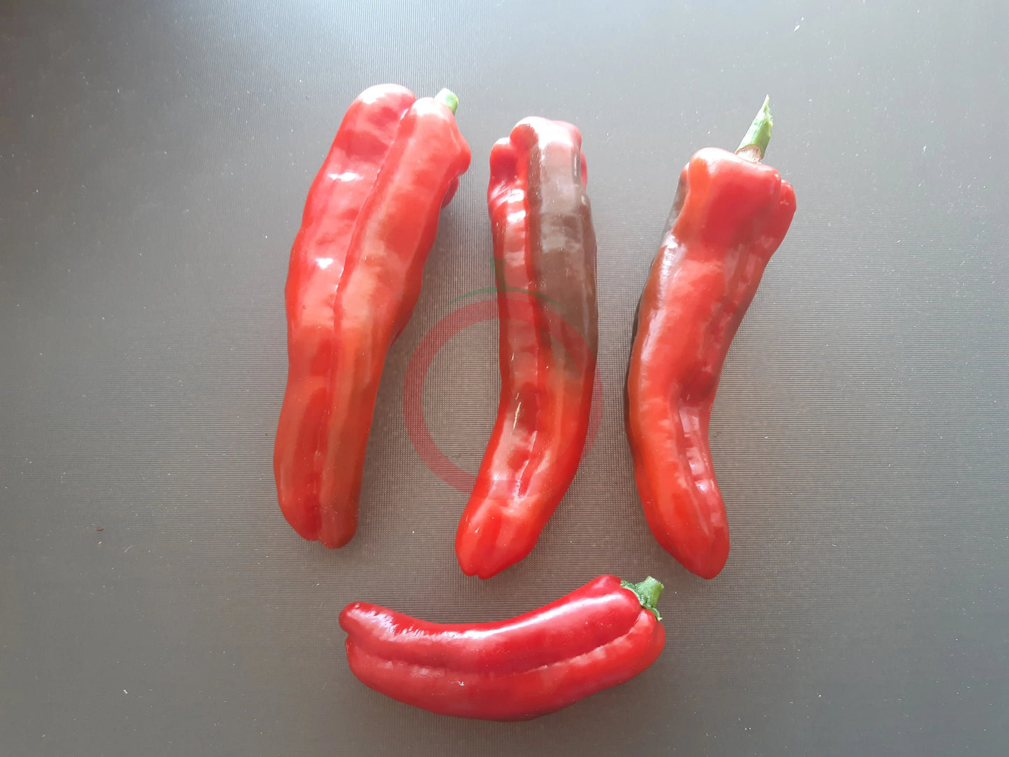 Bananovyy Desert DER TOMATENFLÜSTERER