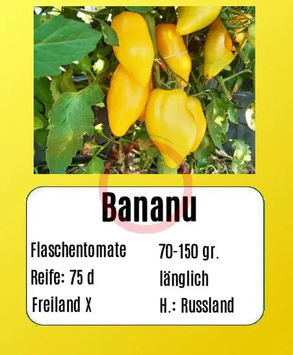 Bananu DER TOMATENFLÜSTERER