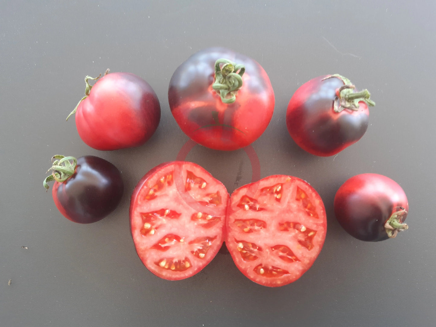 Bartie Blue DER TOMATENFLÜSTERER
