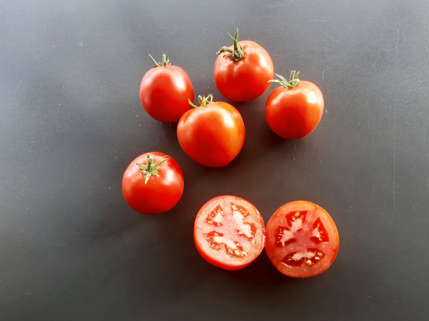 Beaverlodge Slicer DER TOMATENFLÜSTERER