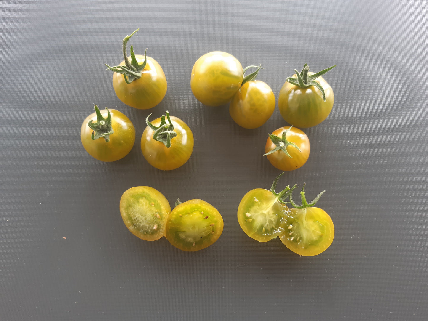 Beetle Juice DER TOMATENFLÜSTERER