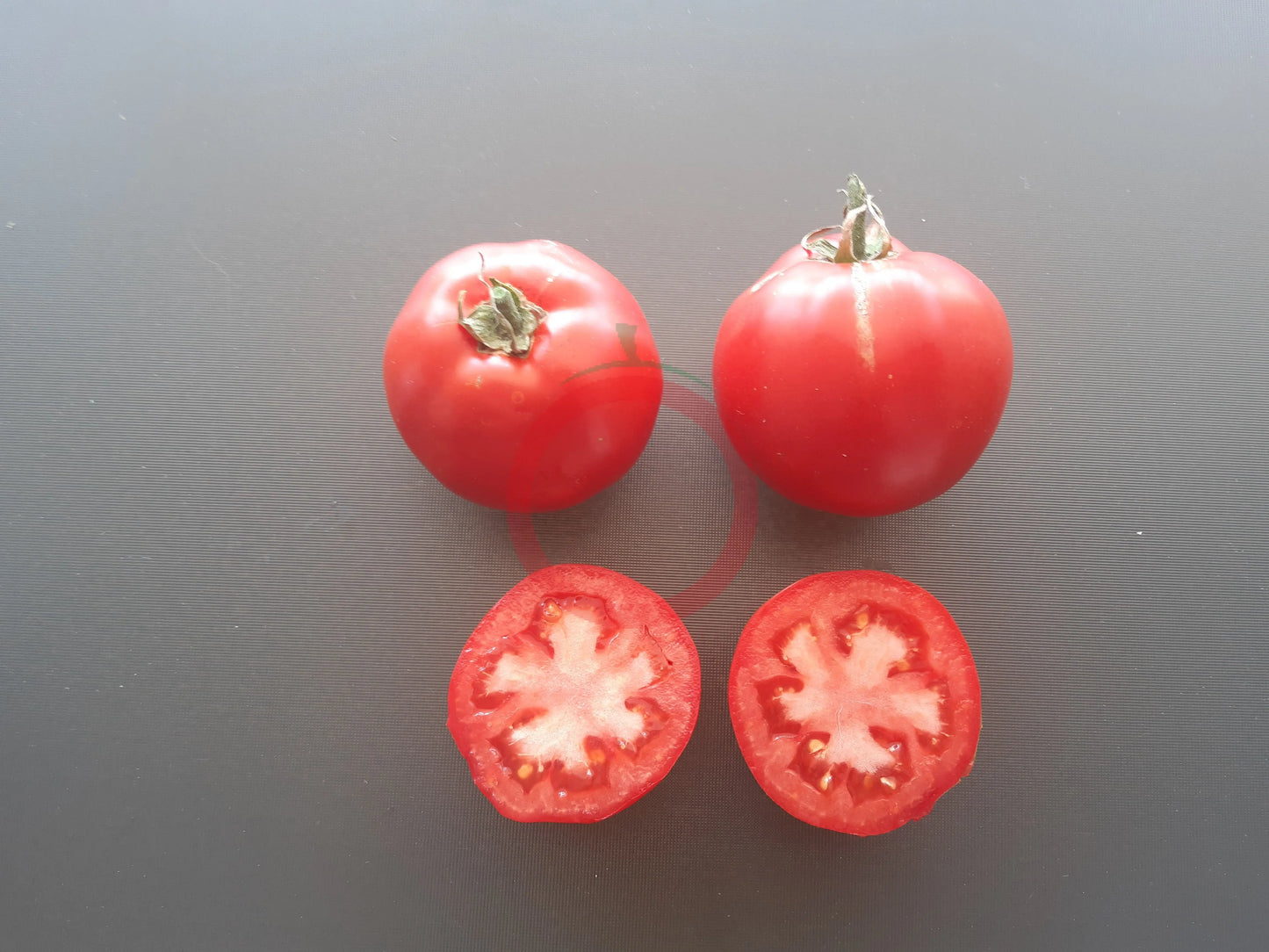 Belle de Lorraine DER TOMATENFLÜSTERER