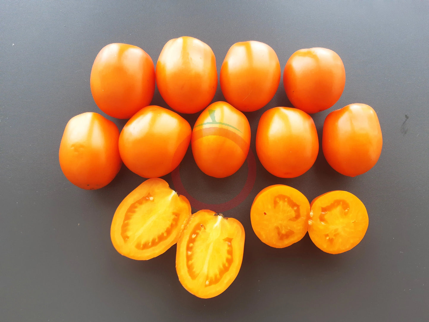 Bernsteinpokal DER TOMATENFLÜSTERER