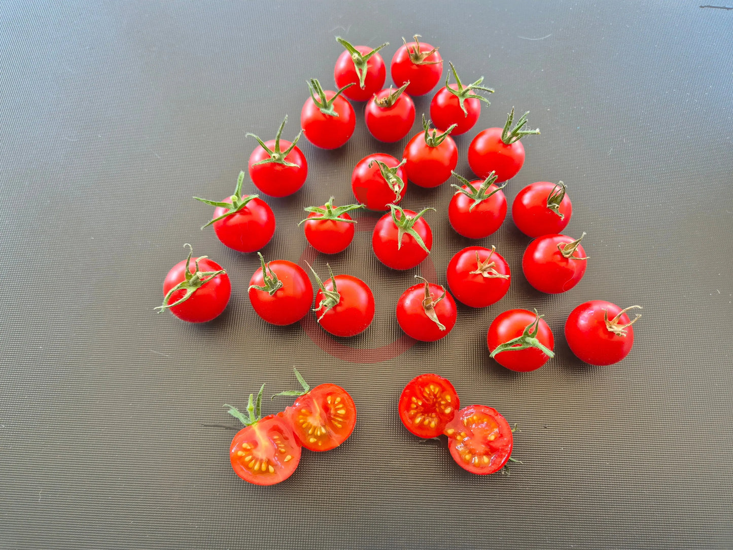 Besser DER TOMATENFLÜSTERER