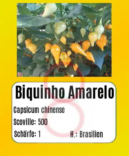 Biquinho Amarelo DER TOMATENFLÜSTERER