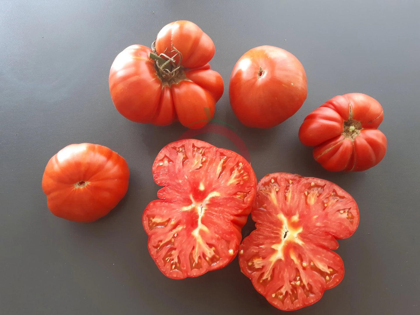 Bistecca Duri DER TOMATENFLÜSTERER