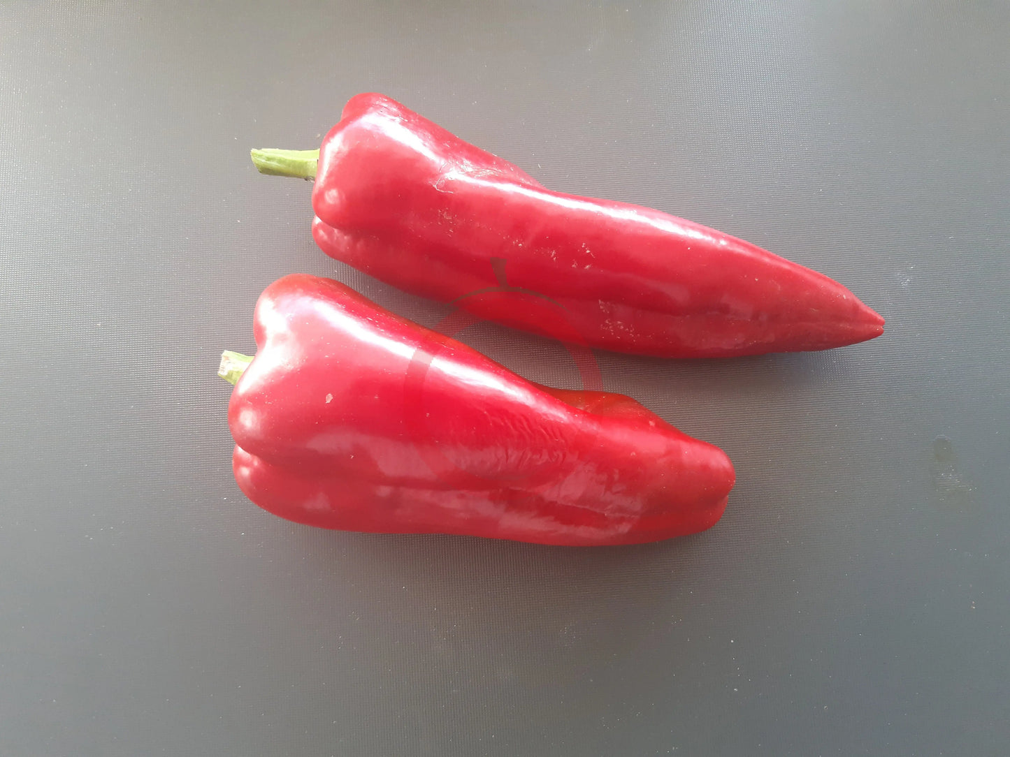 Bitola DER TOMATENFLÜSTERER