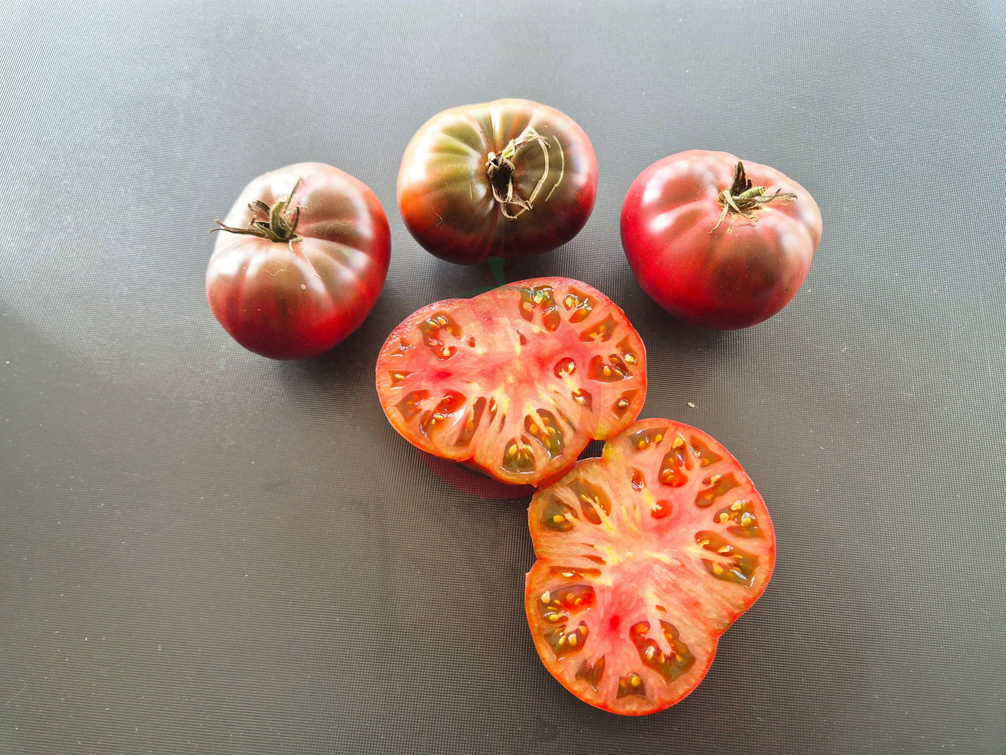 Black Bear DER TOMATENFLÜSTERER