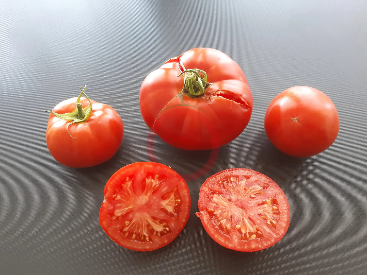 Black Hawk DER TOMATENFLÜSTERER