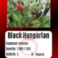 Black Hungarian DER TOMATENFLÜSTERER