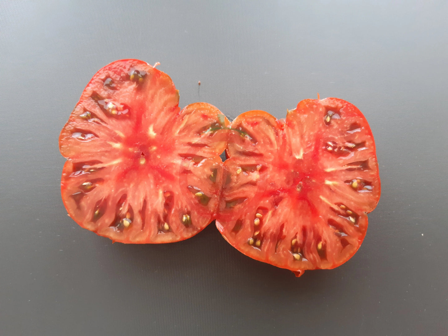 Black Mammoth DER TOMATENFLÜSTERER