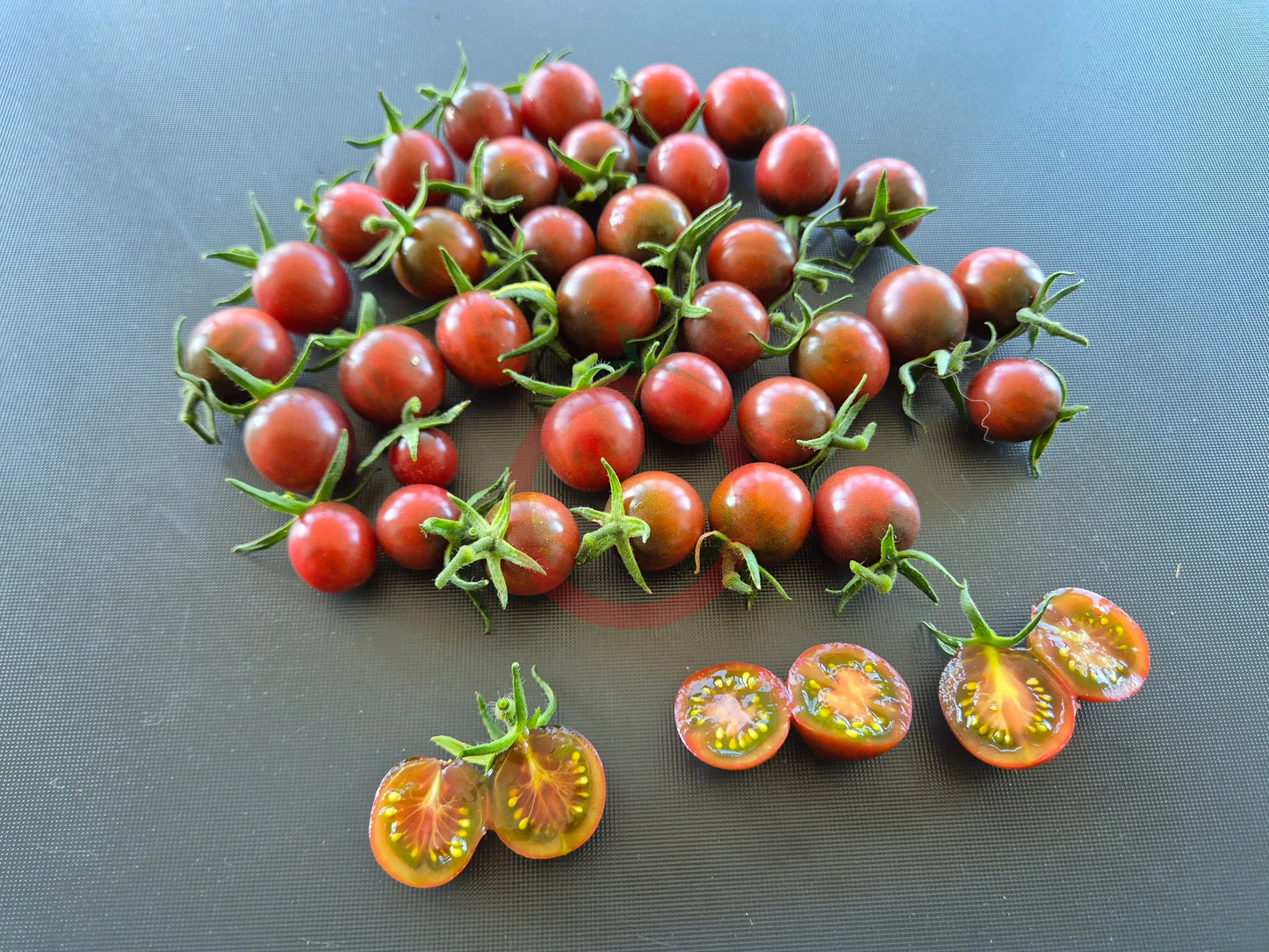 Black Opal DER TOMATENFLÜSTERER