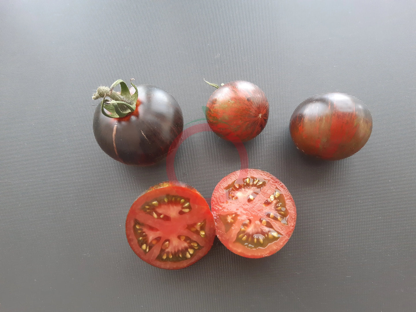 Blue Zebra DER TOMATENFLÜSTERER