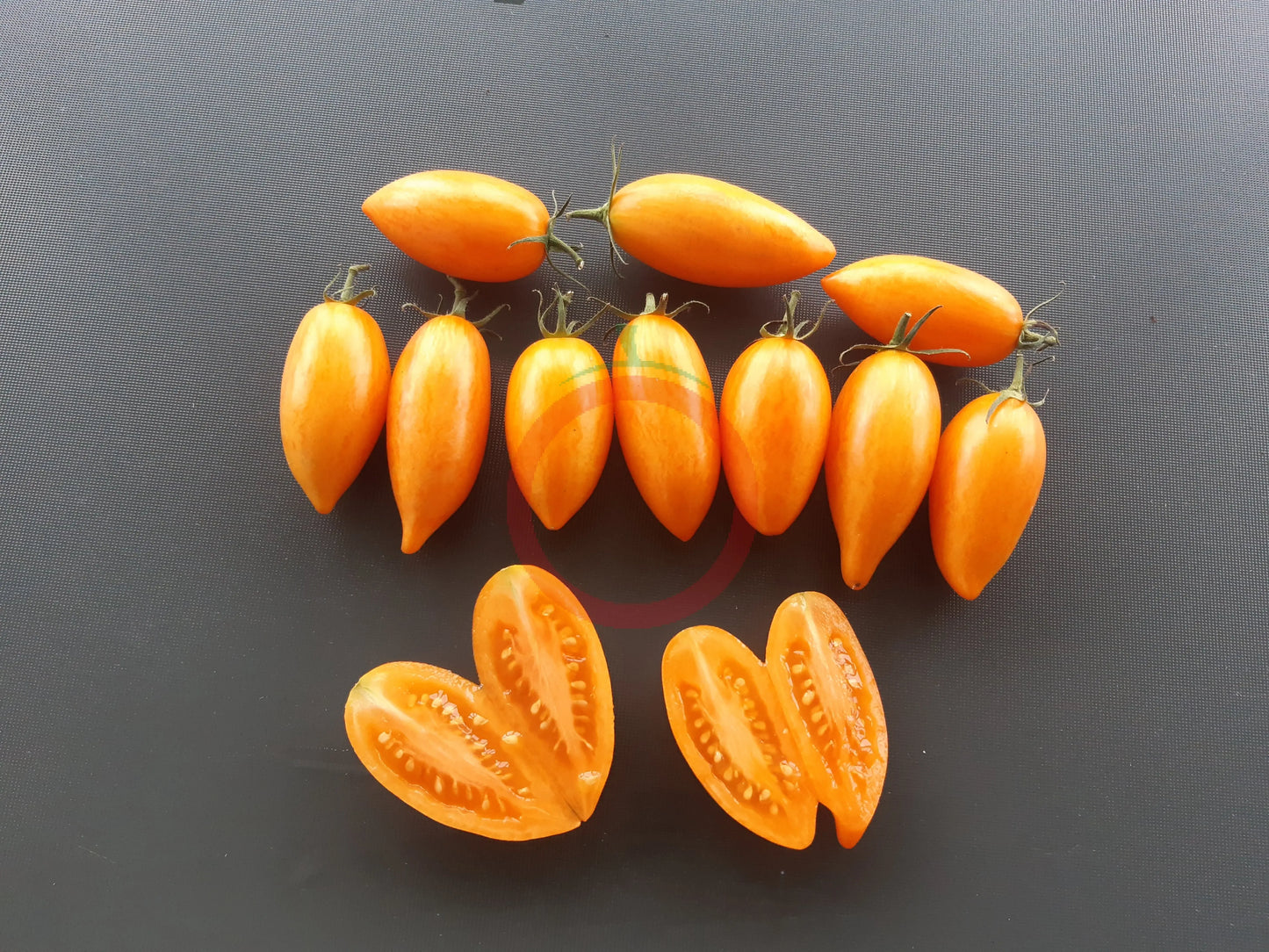 Blush 2.0 DER TOMATENFLÜSTERER