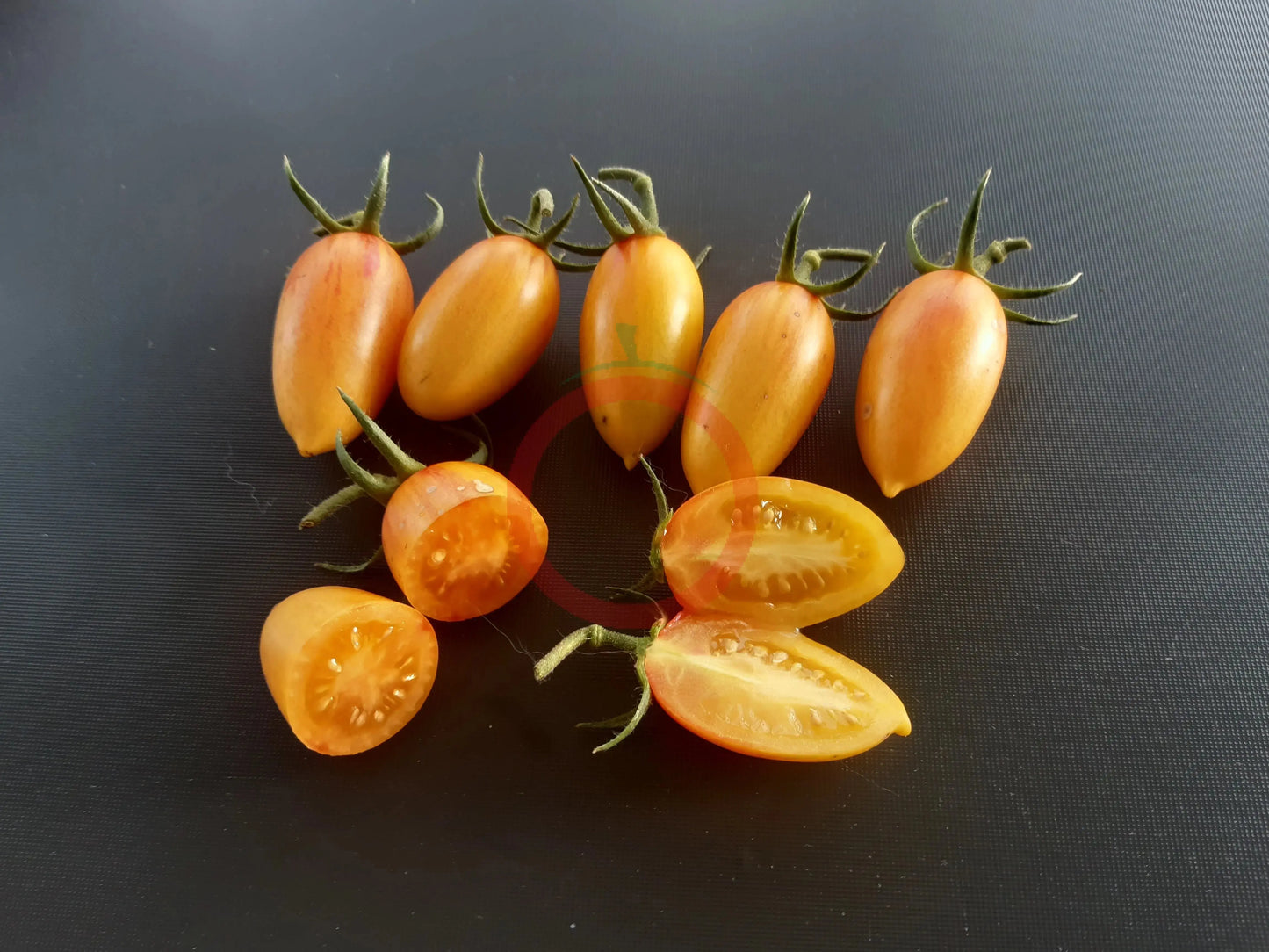 Blush DER TOMATENFLÜSTERER