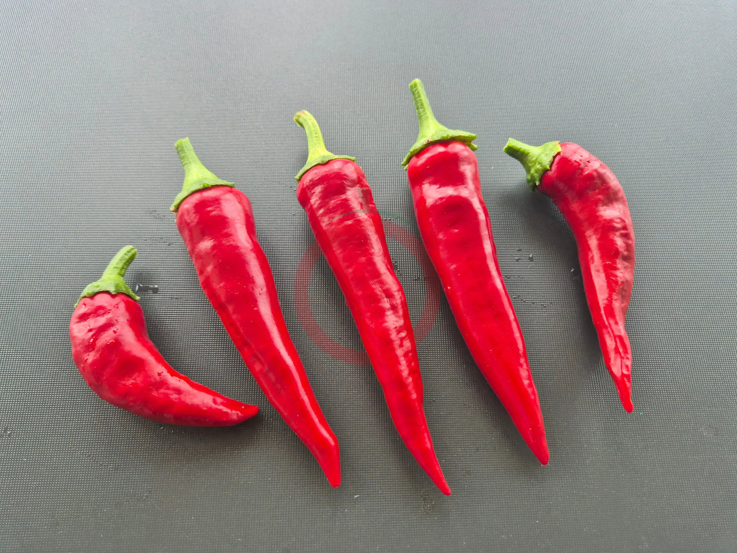 Boldog Hungarian Spice DER TOMATENFLÜSTERER