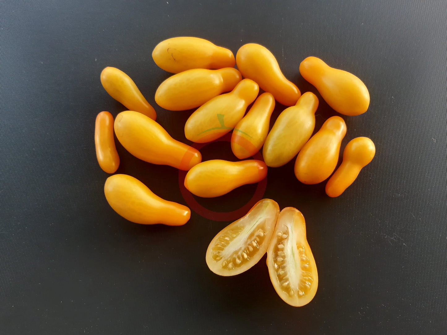 Borghese Vase Roman DER TOMATENFLÜSTERER