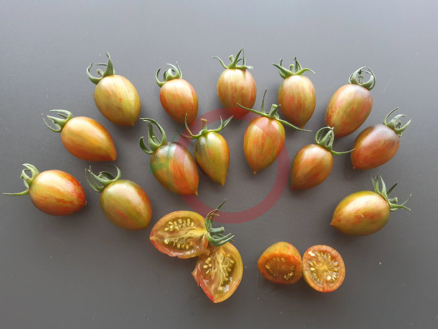 Brads Atomic Grape DER TOMATENFLÜSTERER