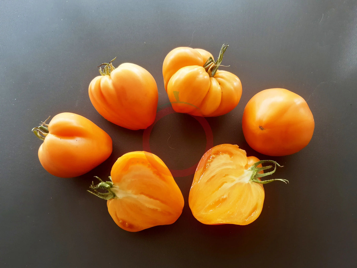 Bull´s Heart Orange DER TOMATENFLÜSTERER