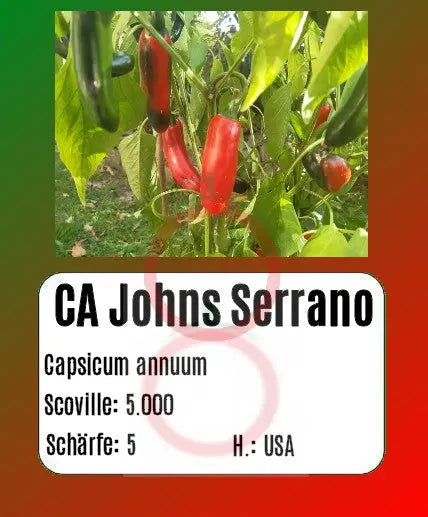CaJohns Serrano DER TOMATENFLÜSTERER